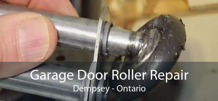 Garage Door Roller Repair Dempsey - Ontario