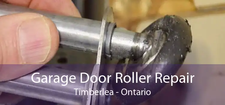 Garage Door Roller Repair Timberlea - Ontario