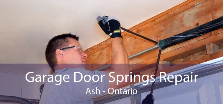 Garage Door Springs Repair Ash - Ontario