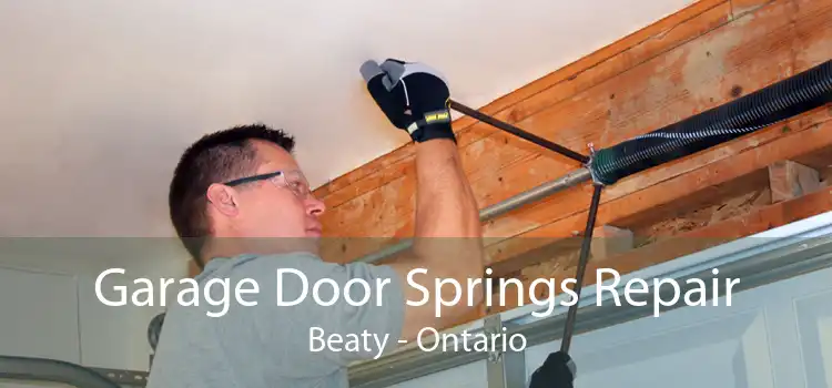 Garage Door Springs Repair Beaty - Ontario