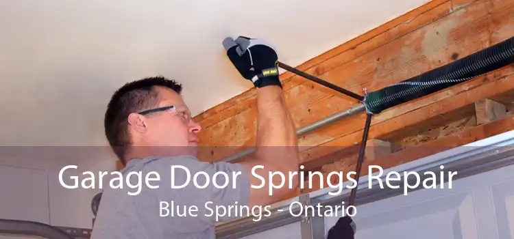 Garage Door Springs Repair Blue Springs - Ontario
