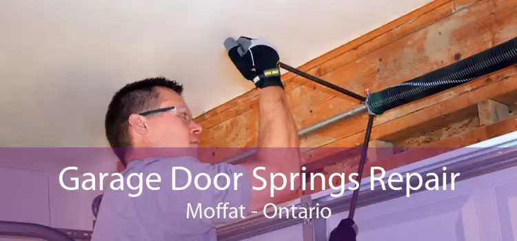 Garage Door Springs Repair Moffat - Ontario