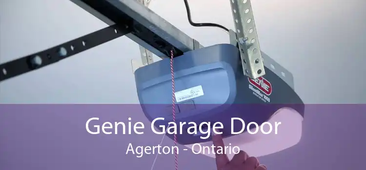 Genie Garage Door Agerton - Ontario