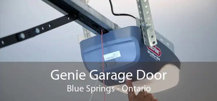 Genie Garage Door Blue Springs - Ontario