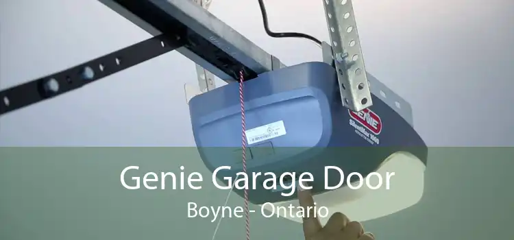 Genie Garage Door Boyne - Ontario