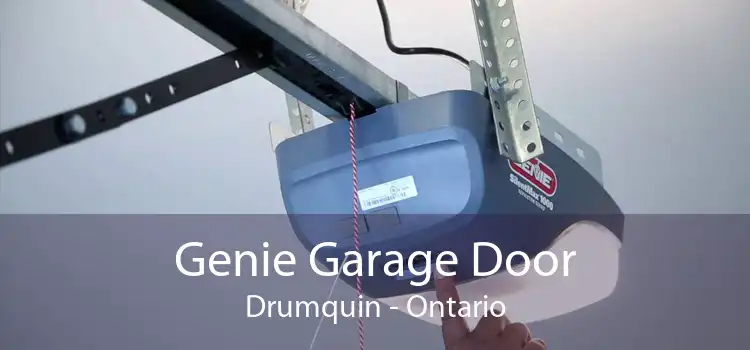 Genie Garage Door Drumquin - Ontario