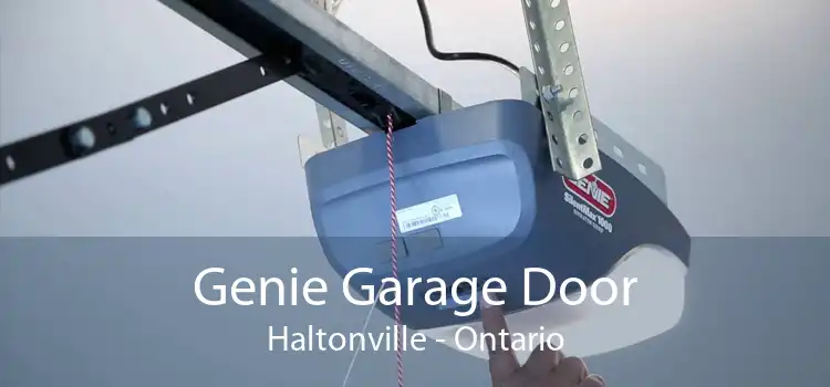Genie Garage Door Haltonville - Ontario