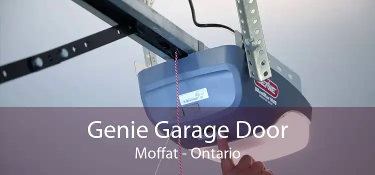 Genie Garage Door Moffat - Ontario