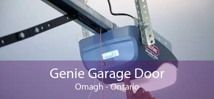 Genie Garage Door Omagh - Ontario