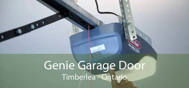 Genie Garage Door Timberlea - Ontario