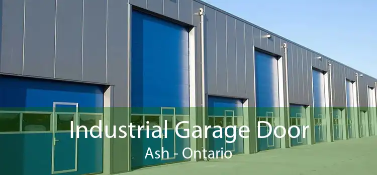 Industrial Garage Door Ash - Ontario