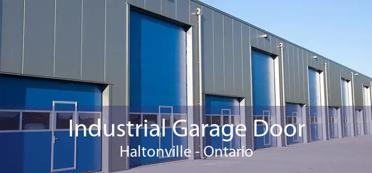 Industrial Garage Door Haltonville - Ontario