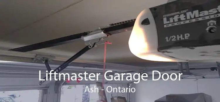 Liftmaster Garage Door Ash - Ontario
