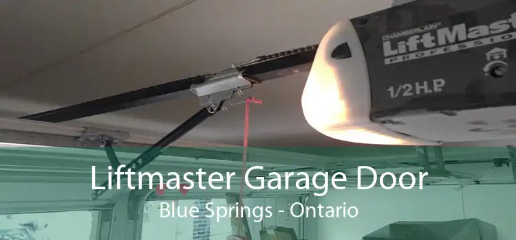 Liftmaster Garage Door Blue Springs - Ontario