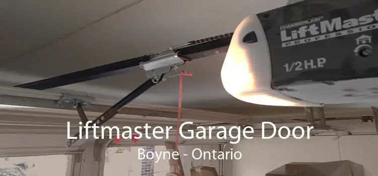 Liftmaster Garage Door Boyne - Ontario