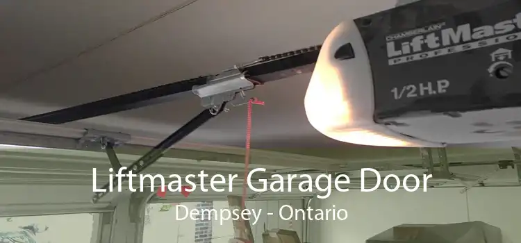 Liftmaster Garage Door Dempsey - Ontario