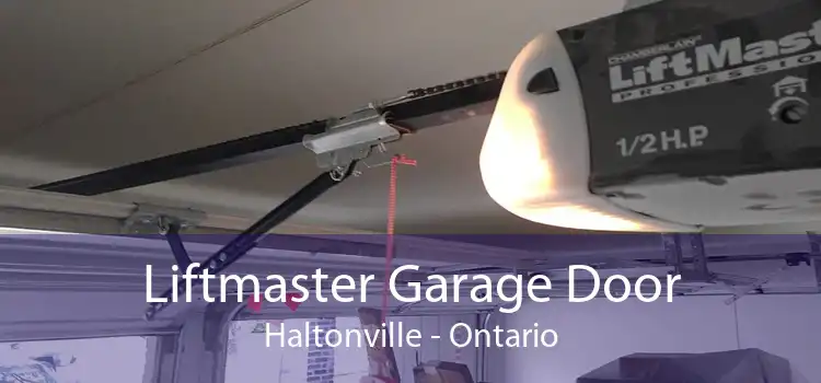 Liftmaster Garage Door Haltonville - Ontario
