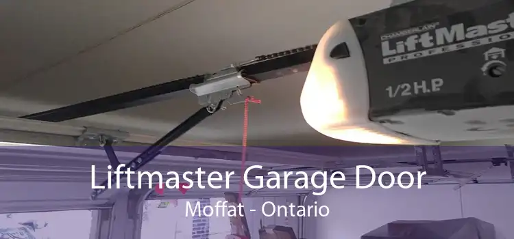 Liftmaster Garage Door Moffat - Ontario
