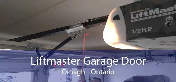 Liftmaster Garage Door Omagh - Ontario