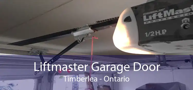 Liftmaster Garage Door Timberlea - Ontario