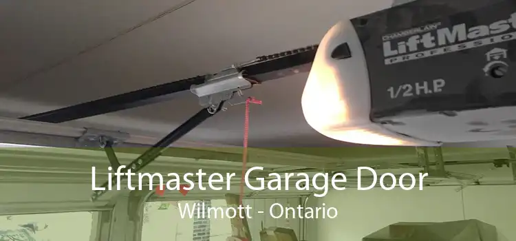 Liftmaster Garage Door Wilmott - Ontario