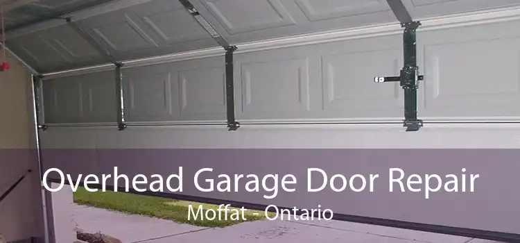 Overhead Garage Door Repair Moffat - Ontario