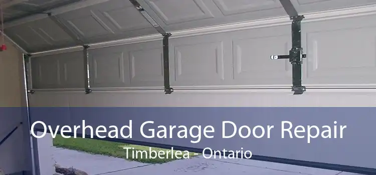 Overhead Garage Door Repair Timberlea - Ontario