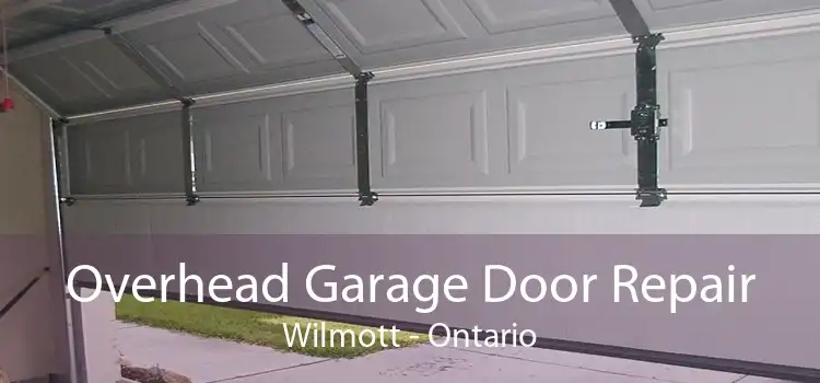 Overhead Garage Door Repair Wilmott - Ontario