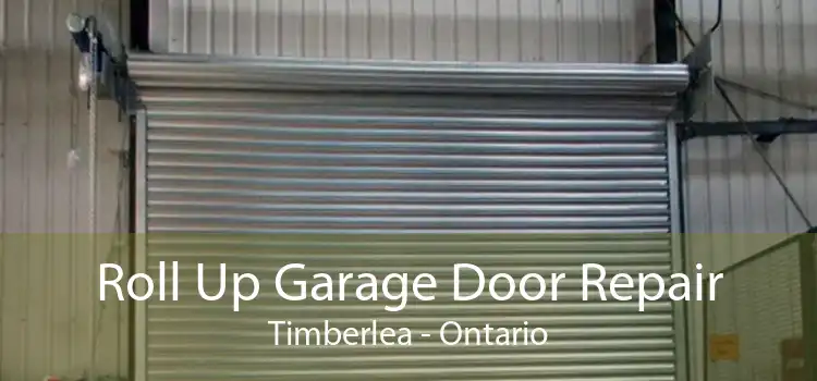 Roll Up Garage Door Repair Timberlea - Ontario